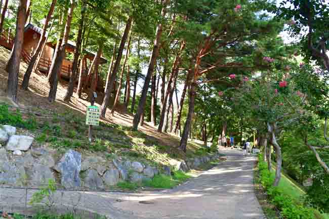 구수곡자연휴양림 전경. /울진군