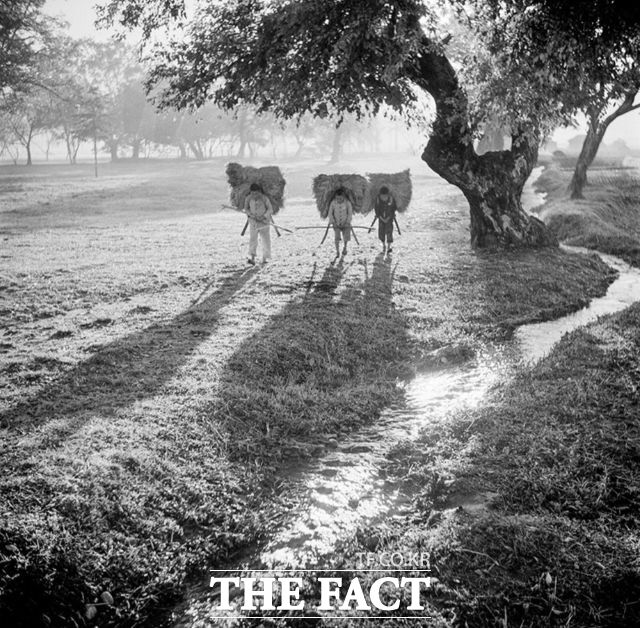 광양 출신 기록사진가 이경모 선생이 남긴 옛 유당공원 사진. /고 이경모 사진가