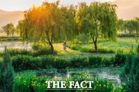  거창군, '체류형 관광도시' 전환 본격화…반값여행·치유 콘텐츠 결합