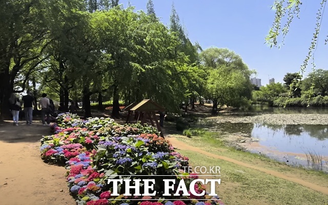 24일 오승혁의 현장은 이날 개막한 고양국제꽃박람회를 찾았다. 호수가 옆 꽃밭을 산책하며 여유를 즐기는 이들의 표정이 밝았다. /고양국제꽃박람회=오승혁 기자