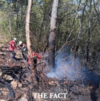  전북도, 부안 변산서 발생한 산불 40분 만에 진화…0.1㏊ 소실