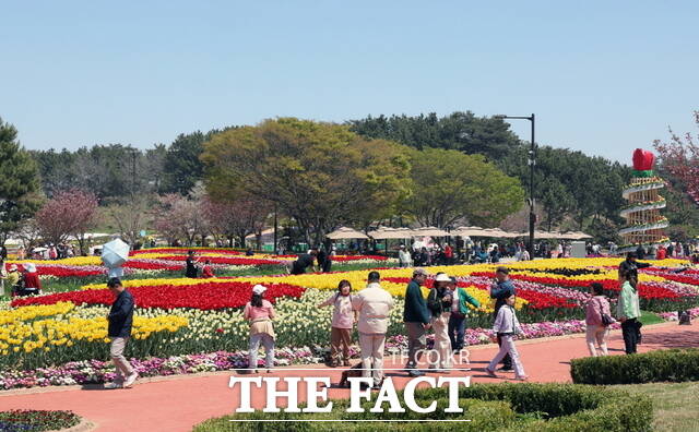 태안국제원예치유박람회가 개막한 가운데 관람객들이 꽃지해안공원 일원 박람회장 꽃밭을 거닐며 봄 정취를 즐기고 있다. /충남도