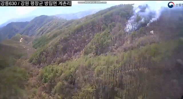 26일 오후 강원 평창군 방림면 대미산에서 산림당국이 산불 진화에 나서고 있다. /강원도소방본부