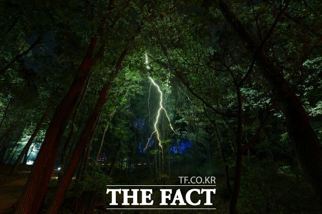 27일 기상청이 발간한 2025 낙뢰연보에 따르면 지난해 국내에서 발생한 낙뢰는 약 10만6000회로, 지난 2016년부터 최근 10년간 평균(약 10만5000회)보다 1.3% 늘었다. /더팩트 DB