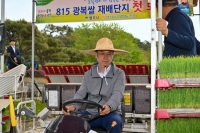  광복의 설렘, 들녘에 심다…영주, '8·15 광복쌀' 첫 모내기