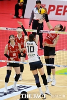  광주 연고 여자프로배구단 AI페퍼스 새 주인 나타날까