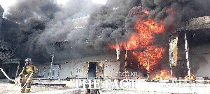 지난 12일 오전 8시 25분쯤 전남 완도군 군외면 한 수산물 냉동창고에서 불이 나 소방당국이 진화작업을 벌이고 있다. /뉴시스
