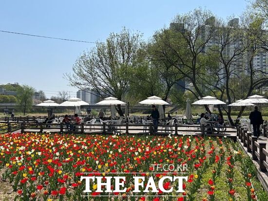 의정부시 중랑천 발물쉼터에 조성된 툴립 정원을 찾은 시민들이 따스한 햇살을 맞으며 한가로운 한 때를 보내고 있다. /의정부시