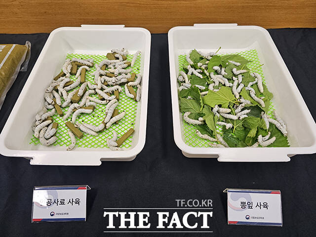 농촌진흥청은 29일 '전용 사료 기반 누에 스마트 생산시스템'을 개발했다고 밝혔다./세종=박은평 기자