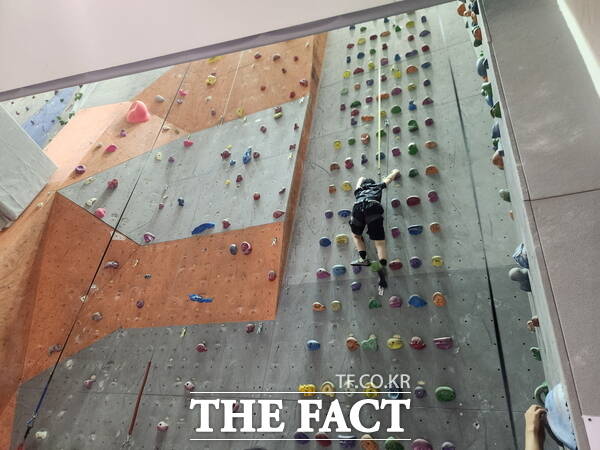 대전청소년위캔센터에서 진행되는 클라이밍 프로그램 모습 /대전시교육청