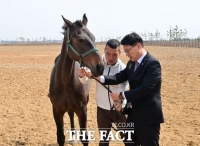  구조마 '리비' 새 둥지…경기도 '말 복지 휴양목장' 개소