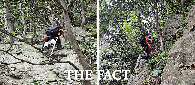 29일 오후 2시 44분쯤 울릉군 도동리 해담길 인근 해안 암벽 지역에서 등산 중 길을 잃은 70대 관광객을 소방당국이 구조했다. /포항남부소방서 울릉119 안전센터