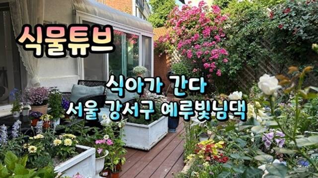 식물튜브 plant tube는 양재꽃시장 내 화원을 직접 운영하며 생생한 식물 입고 현장과 구매 가이드를 제공한다. /유튜브 채널 식물튜브 plant tube 영상 캡처