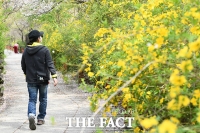  [오늘의 날씨] 노동절 연휴 첫날 맑고 온화…아침까지 남부에 비