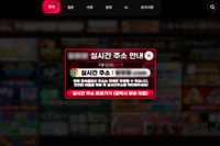  불법 촬영물 사이트 버젓이 활개…주소 세탁에 단속 무용지물