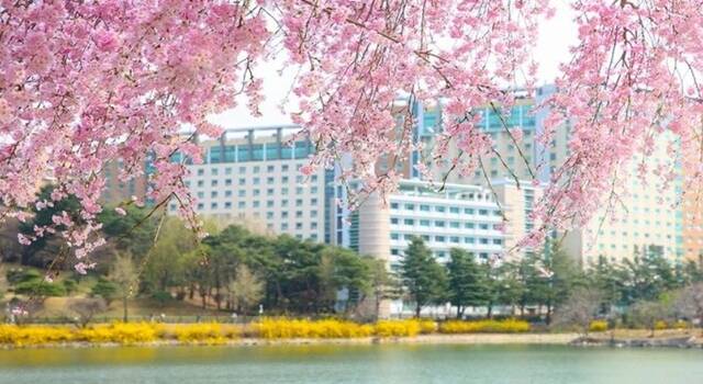 건국대학교 전경