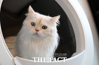  강아지·고양이, 나이별로 잘 걸리는 질병은?