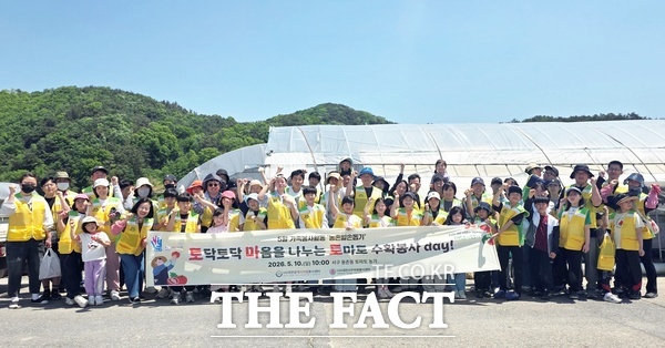 대전시자원봉사센터는 가족이 함께 참여하는 농촌일손돕기 봉사활동 '토닥토닥 마음을 나누는 토마토 수확 봉사 day'를 10일 대전시 서구 용촌동 소재 토마토 농가에서 가족 자원봉사자 등 70여 명이 참여해 진행했다. /대전시자원봉사센터
