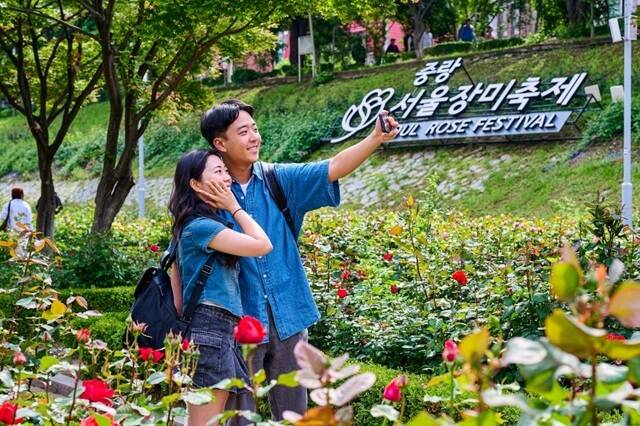 '제18회 중랑 서울장미축제'가 이달 15일부터 23일까지 중랑장미공원 일대에서 열린다. /중랑구