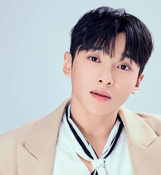 90년대는 TV 드라마의 영향력이 폭발적으로 커진 시대였다. 이 시기 여배우 트로이카는 김희애, 채시라, 하희라가 꼽히고, 지금은 고인이 된 고 최진실을 한명으로 언급하기도 한다. /더팩트 DB, AI 이미지
