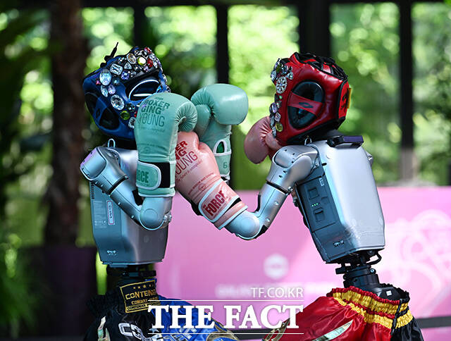 갤럭시코퍼레이션 'ROBOT PARK' 오픈 기념 미디어데이가 15일 오후 서울 강동구 갤럭시 로봇 파크(GALAXY ROBOT PARK)에서 열린 가운데 로봇들이 복싱 경기를 펼치고 있다. /박헌우 기자