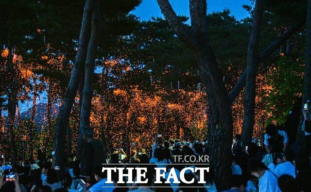 세종시 낙화축제가 16일 오후 7시 30분 세종호수공원 일원에서 열린 가운데 10만여 명의 인파가 몰리면서 성황을 이루고 있다. /세종시