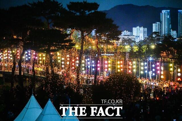 2026 낙화축제가 세종시일원서 열린 가운데 낙화와 세종시주변 풍경이 장관을 이뤄고 있다. /세종시