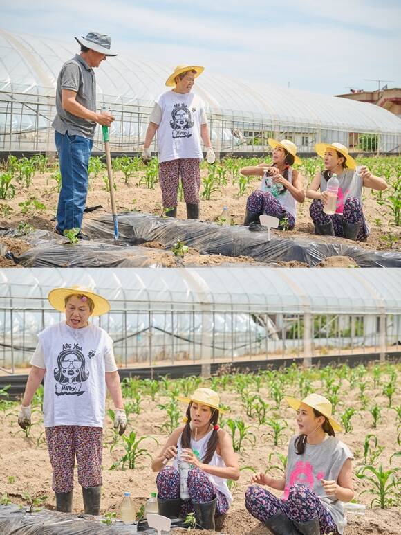 요리사 신계숙, 배우 황신혜 양정아(아래 왼쪽부터)가 황신혜의 같이 삽시다로 호흡을 맞춘다. /KBS1