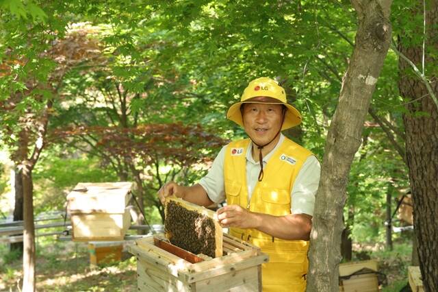 LG가 조성한 토종 꿀벌 서식지에서 김대립 명인이 토종 꿀벌의 생육 상태를 점검하고 있다. /LG