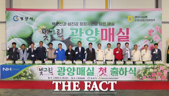 광양시에서 올해 첫 매실 출하가 시작됐다. 20일 진상농협 매실선별장에서 2026년산 광양매실 첫 출하식을 열고 본격적인 매실 출하에 들어갔다. /광양시
