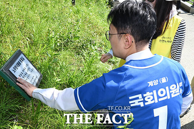 노무현 전 대통령 등신대 만져보는 김남준 후보.