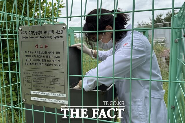 광주시 보건환경연구원이 모기 채집 현황을 살피고 있다. /보건환경연구원