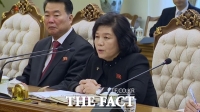  북한·싱가포르 외교장관 회담…'친선·협조 관계 강화'