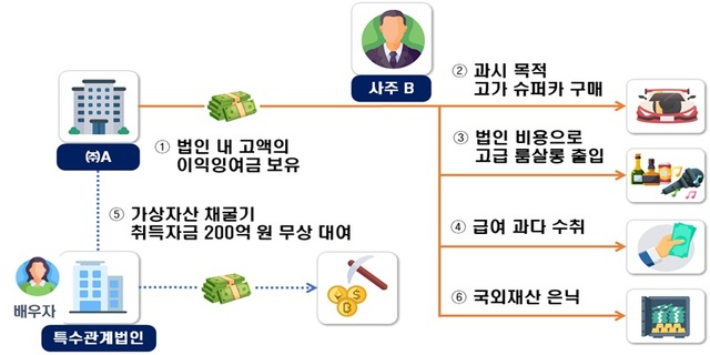 사주는 법인 명의로 슈퍼카를 구매하거나, 법인 비용으로 고급 룸살롱 출입, 고액 급여 수취 등의 방법으로 법인자금 유출한 혐의다. /국세청