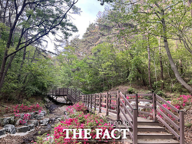 전북 익산시 금마면에 위치한 미륵산 등산로 모습 /익산시