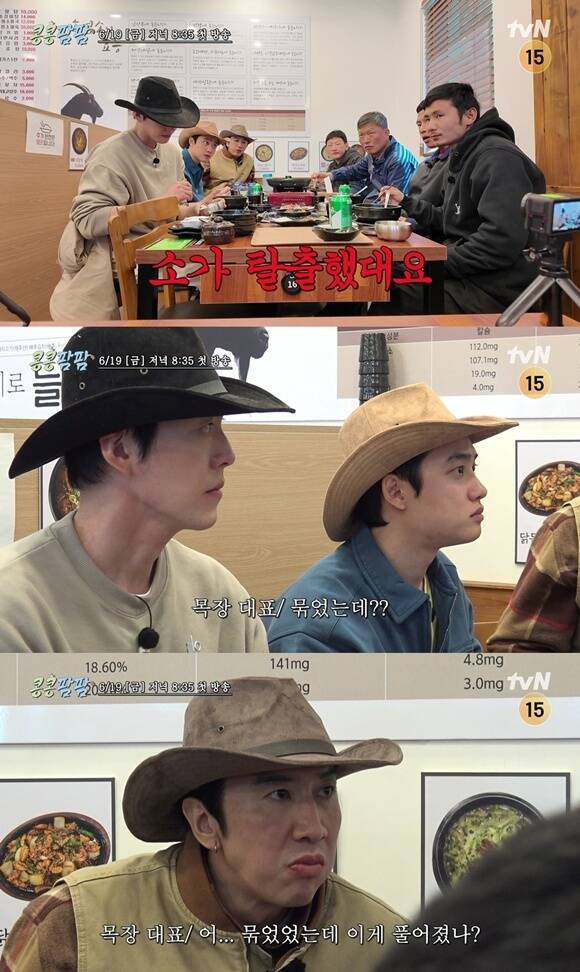 tvN 새 예능프로그램 '콩 심은 데 콩 나는 가고팜 하고팜 동물농장'은 제주도 목장을 배경으로 펼쳐진다. /tvN