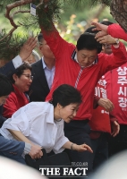  오동나무 살펴보는 박근혜 전 대통령 [포토]