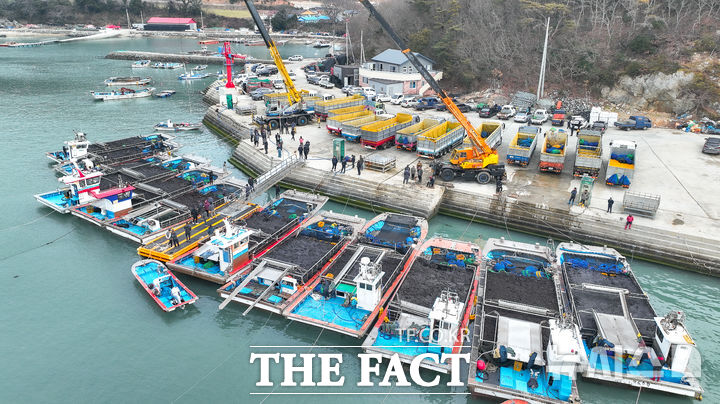 지난 겨울 동안 전남 완도군 군외면의 한 항구에 물김을 실은 배들이 위판을 위해 모여들고 있다. /뉴시스