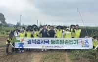  '농가 돕기에 감사 일정도 멈췄다'…농협중앙회 경북검사국, 포도 농가 찾아 구슬땀
