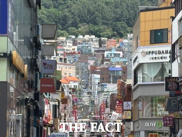 29일 부산 북구 덕천동 일대 전경. /김시형 기자