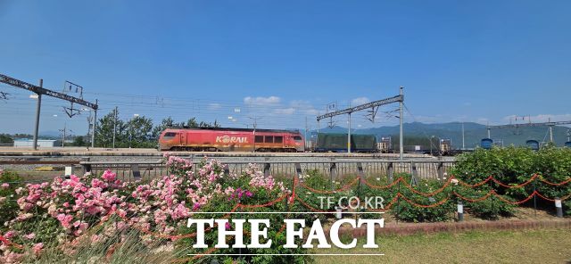 장미축제장에서 전라선 KTX 열차가 달리는 모습을 볼 수 있다. /김영신 기자