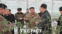 김정은, 신의주 온실농장 방문…