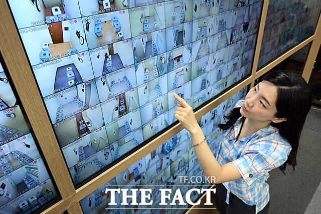 제9회 전국동시지방선거 본투표를 하루 앞둔 2일 오전 경기 과천시 중앙동 중앙선거관리위원회 입구 모니터에 선거 'D-1'이 표시돼있다. /과천=임영무 기자