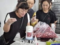  전남 담양군, 담양산 딸기 활용한 '담아또 딸기칩' 상품화 교육