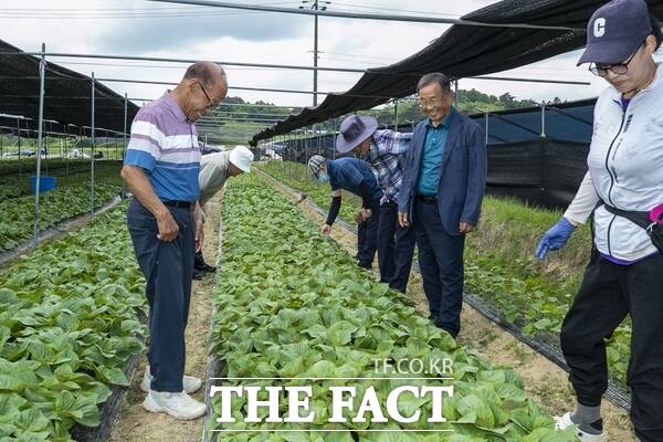 금산군농업기술센터 농업인 상담 모습. /금산군