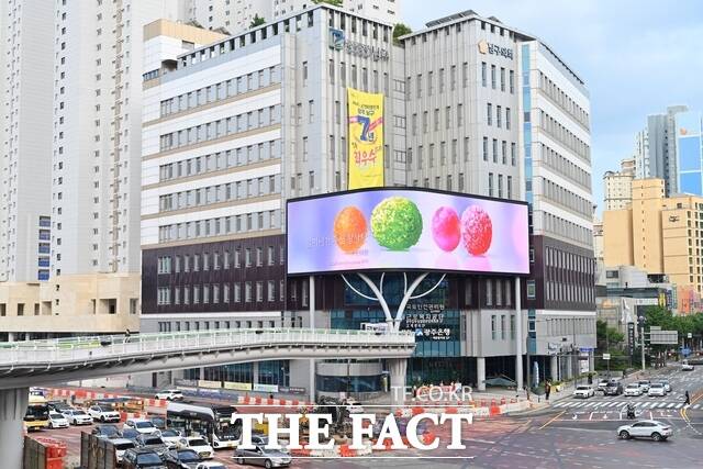 광주시 남구종합청사에 설치된 '미디어월'에서 지역 작가의 디지털 아트를 전시 중이다. /광주시 남구