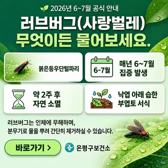 은평구가 러브버그 비상방역 근무 체계를 가동하고 신고센터를 운영한다. /은평구