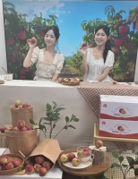  경북농협, 라이브커머스로 '신비복숭아' 판로 개척…농가 소득 증대 지원