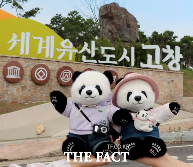 고창을 여행하는 '루이'&'후이' 동행 인형. /에버랜드