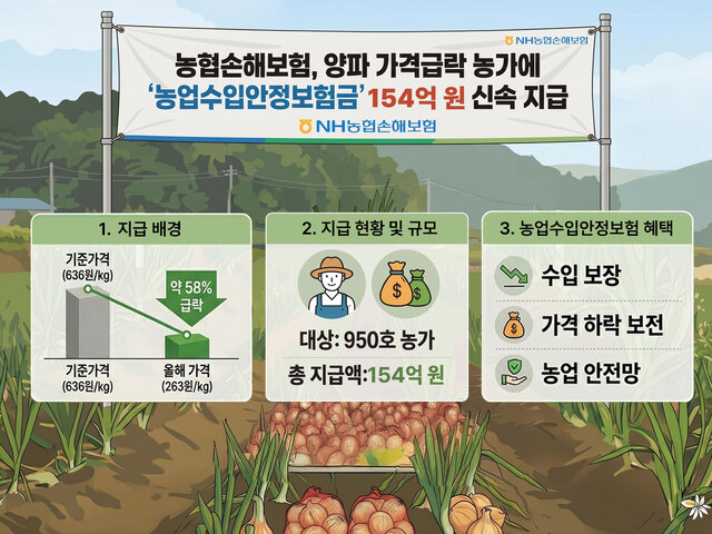 NH농협손보가 농업수입안정보험 가입 양파 농가 950곳에 총 154억원의 보험금을 지급한다. /NH농협손해보험